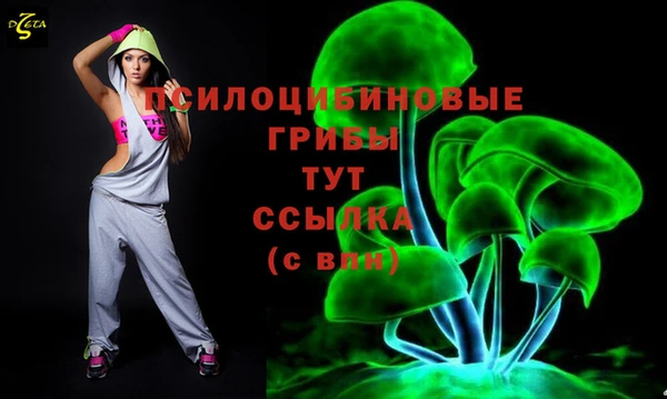 тгк Алексеевка