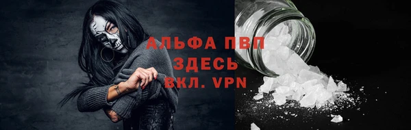 шишки Алексин