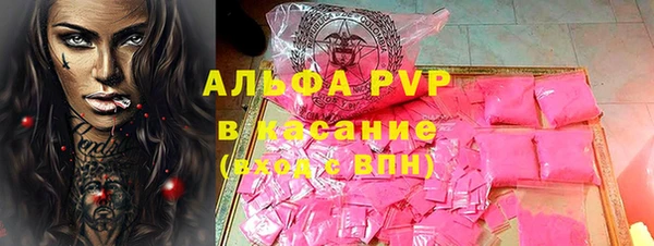 стафф Алзамай