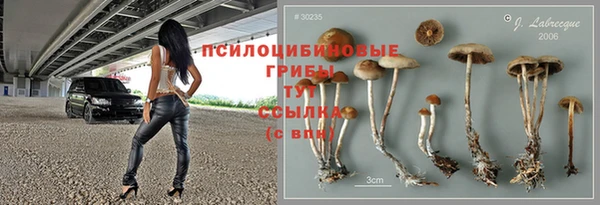 стафф Алзамай